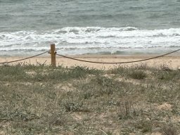 159-03-01-2026 IMG_3357